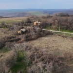 Парцел в с. Долна Златица, Област Търговище - 5749 кв.м за 1 €/кв.м - Снимка #1