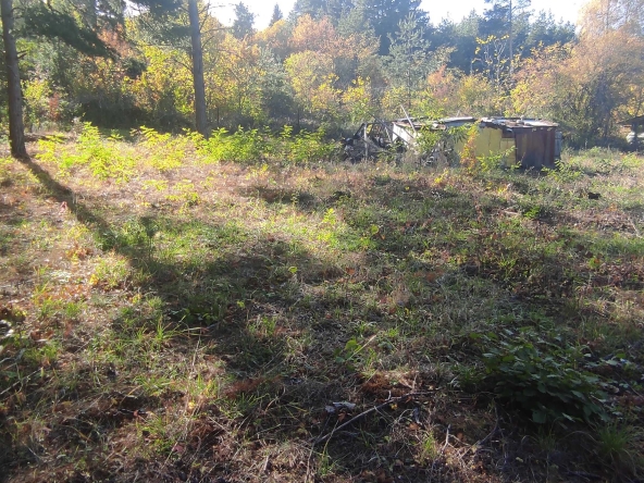 Парцел в Царево - 1263 кв.м за 38 €/кв.м - Снимка #1