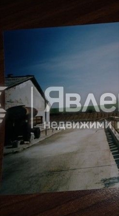 Склад в с. Николаевка, Област Варна - 540 кв.м за 614 €/кв.м - Снимка #1