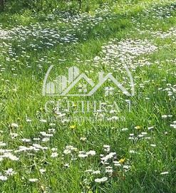 Парцел в с. Богданлия, Област София-област - 633 кв.м за 76 €/кв.м - Снимка #1