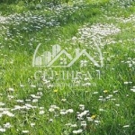 Парцел в с. Драгичево, Област Перник - 540 кв.м за 99 €/кв.м - Снимка #1