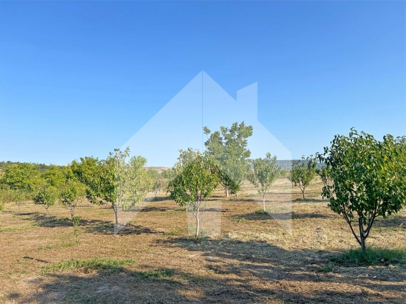 Земеделски имот в Нови пазар -  кв.м за 3643 €/дка - Снимка #1