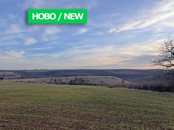 Парцел в с. Писарево, Област Шумен - 5000 кв.м за 3 €/кв.м - Снимка #1