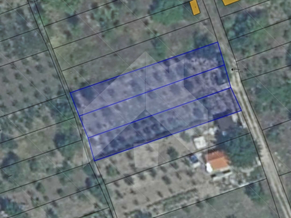 Земеделски имот в Нови пазар -  кв.м за 18 €/дка - Снимка #1