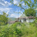 Парцел в с. Лиси връх, Област Шумен - 4420 кв.м за 3 €/кв.м - Снимка #1