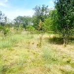 Къща в с. Пчеларово, Област Добрич - 90 кв.м за 62 €/кв.м - Снимка #1