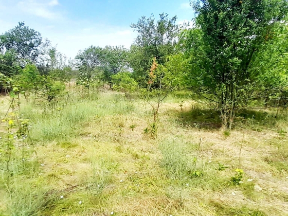 Къща в с. Пчеларово, Област Добрич - 90 кв.м за 62 €/кв.м - Снимка #1