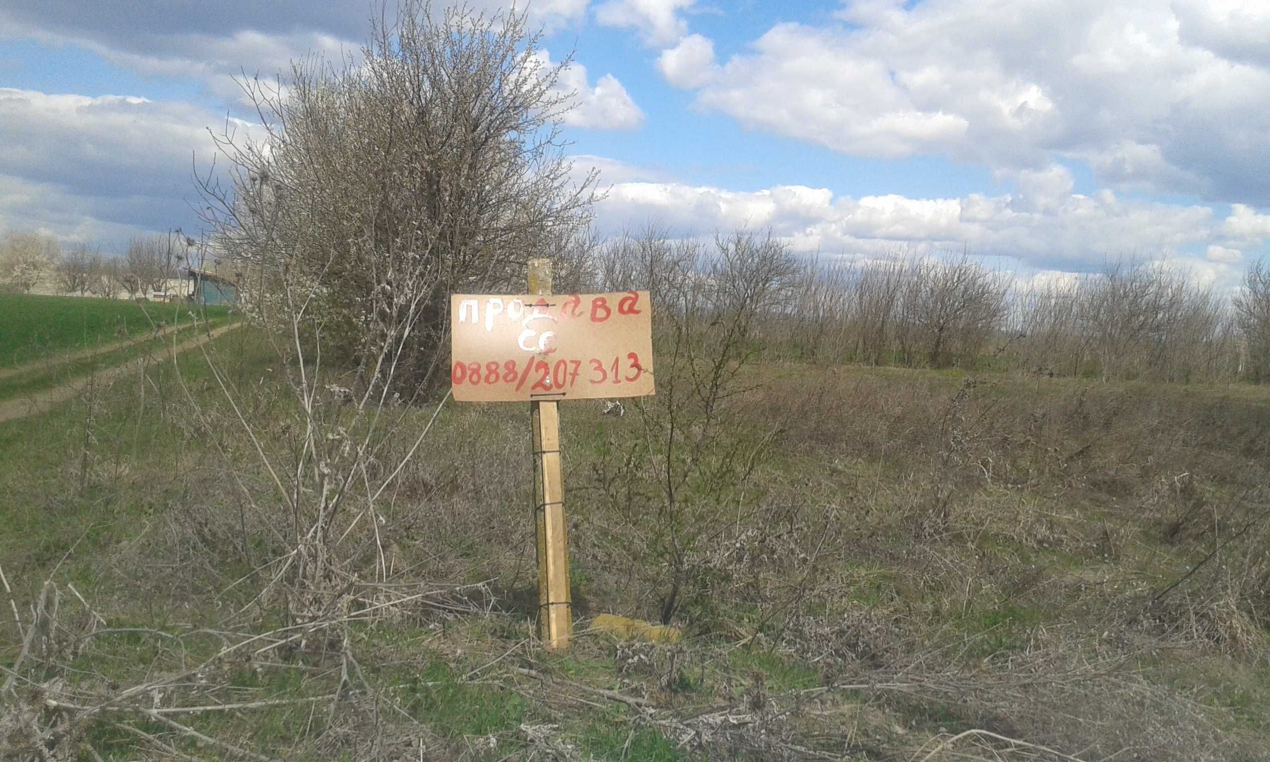Парцел в Добрич, Промишлена зона - Запад - 1000 кв.м за 7 €/кв.м - Снимка #1