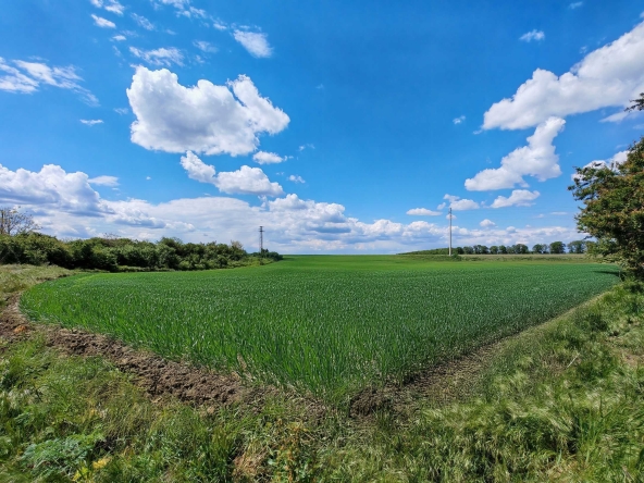 Парцел в Добрич, Автогара - 2869 кв.м за 7 €/кв.м - Снимка #1