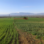 Парцел в с. Доброславци, Област София-град - 1400 кв.м за 11 €/кв.м - Снимка #1