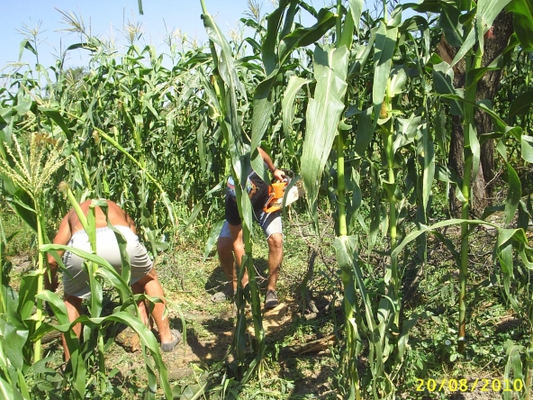 Парцел в Варна, Аспарухово - 1060 кв.м за 21 €/кв.м - Снимка #1