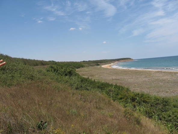 Парцел в с. Дуранкулак, Област Добрич - 11252 кв.м за 17 €/кв.м - Снимка #1