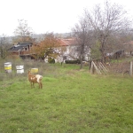 Къща в с. Априлово, Област Стара Загора - 250 кв.м за 113 €/кв.м - Снимка #1