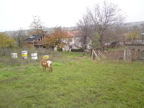 Къща в с. Априлово, Област Стара Загора - 250 кв.м за 113 €/кв.м - Снимка #1