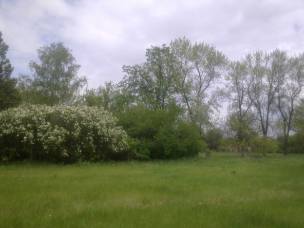 Парцел в Добрич, Център - 11000 кв.м за 11 €/кв.м - Снимка #1