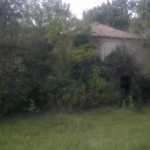 Парцел в Добрич, Добротица - Варненска - 11000 кв.м за 6 €/кв.м - Снимка #1