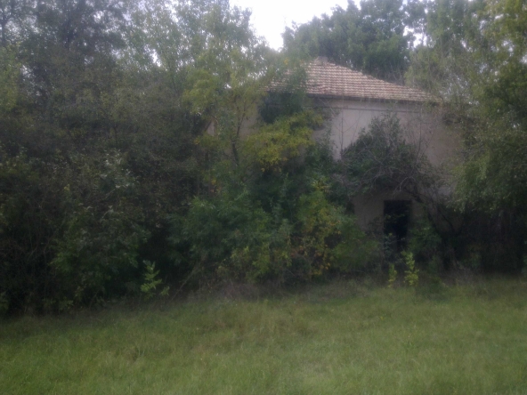 Парцел в Добрич, Добротица - Варненска - 11000 кв.м за 6 €/кв.м - Снимка #1