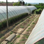 Къща в с. Поликраище, Област Велико Търново - 5718 кв.м за 16 €/кв.м - Снимка #1