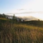 Къща в с. Мугла, Област Смолян - 11111 кв.м за 5 €/кв.м - Снимка #1