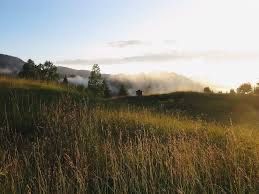 Къща в с. Мугла, Област Смолян - 11111 кв.м за 5 €/кв.м - Снимка #1