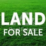 Парцел в с. Брестник, Област Пловдив - 1067 кв.м за 76 €/кв.м - Снимка #1