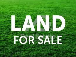 Парцел в с. Брестник, Област Пловдив - 1067 кв.м за 76 €/кв.м - Снимка #1