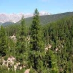 Земеделски имот в с. Колена, Област Стара Загора -  кв.м за 850 €/дка - Снимка #1