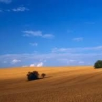 Земеделски имот в с. Силен, Област Хасково -  кв.м за 20 €/дка - Снимка #1