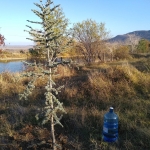 Парцел в Куклен - 1827 кв.м за 82 €/кв.м - Снимка #1