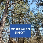 Парцел в с. Малка Верея, Област Стара Загора - 5200 кв.м за 21 €/кв.м - Снимка #1