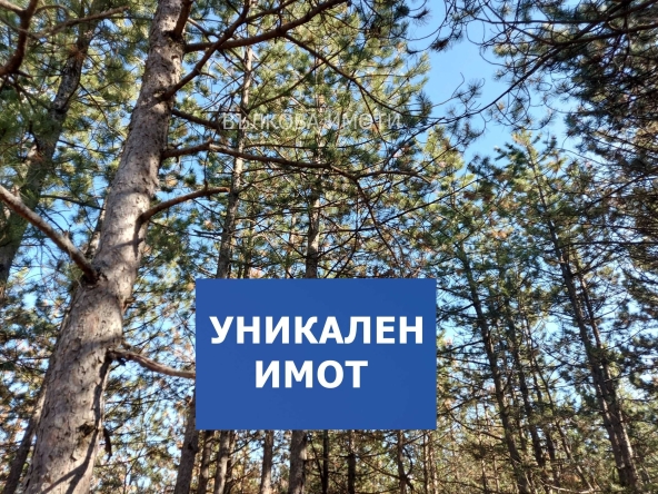 Парцел в с. Малка Верея, Област Стара Загора - 5200 кв.м за 21 €/кв.м - Снимка #1