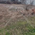 Парцел в с. Бенковски, Област Пловдив - 1500 кв.м за 37 €/кв.м - Снимка #1