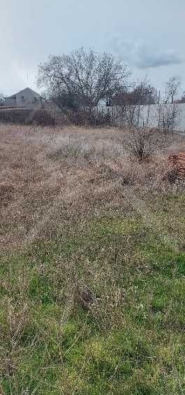 Парцел в с. Бенковски, Област Пловдив - 1500 кв.м за 37 €/кв.м - Снимка #1