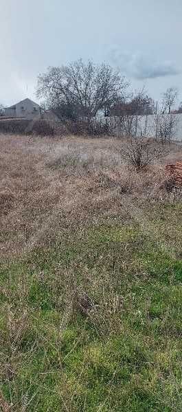 Парцел в с. Бенковски, Област Пловдив - 1500 кв.м за 37 €/кв.м - Снимка #1