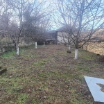 Парцел в с. Пороище, Област Разград - 700 кв.м за 18 €/кв.м - Снимка #1