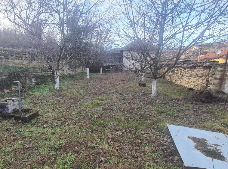 Парцел в с. Пороище, Област Разград - 700 кв.м за 18 €/кв.м - Снимка #1