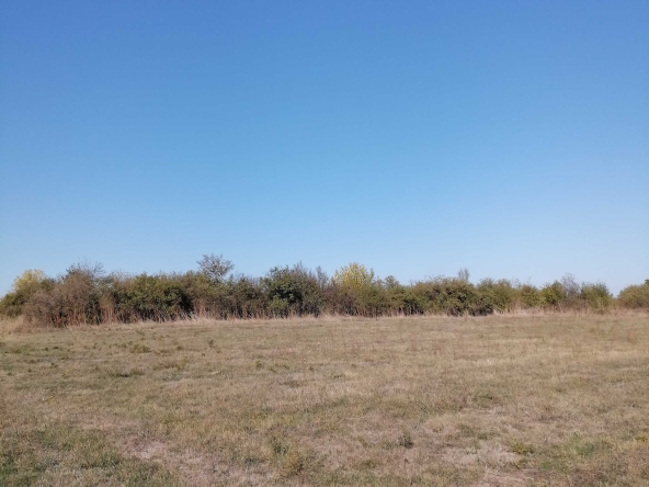 Парцел в Монтана, Идеален център - 3000 кв.м за 3 €/кв.м - Снимка #1