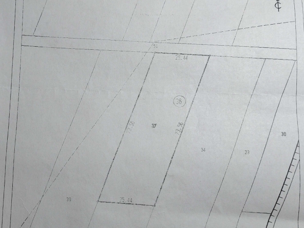 Земеделски имот в с. Куртово Конаре, Област Пловдив -  кв.м за 2 €/дка - Снимка #1