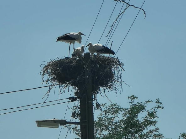 Парцел в София, Център - 1150 кв.м за 9 €/кв.м - Снимка #1