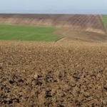 Дава се под наем Земеделски имот в с. Мали Дреновец, Област Видин -  кв.м за 509.49 € - Снимка #1