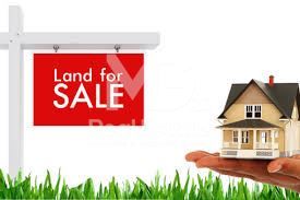 Парцел в с. Куртово Конаре, Област Пловдив - 2400 кв.м за 10 €/кв.м - Снимка #1