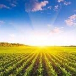 Земеделски имот в с. Методиево, Област Добрич -  кв.м за 2448 €/дка - Снимка #1