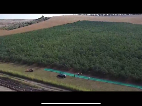 Земеделски имот в с. Богданци, Област Силистра -  кв.м за 2550 €/дка - Снимка #1