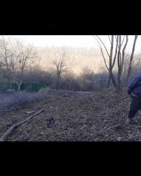 Парцел в с. Руен, Област Пловдив - 580 кв.м за 8 €/кв.м - Снимка #1