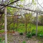 Дава се под наем Заведение в с. Радиново, Област Пловдив - 1000 кв.м за 510 € - Снимка #1