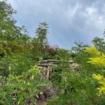 Парцел в София, Овча купел - 405 кв.м за 36 €/кв.м - Снимка #1