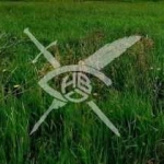 Парцел в с. Тънково, Област Бургас - 580 кв.м за 48 €/кв.м - Снимка #1