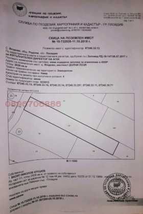 Парцел в с. Ягодово, Област Пловдив - 2628 кв.м за 16 €/кв.м - Снимка #1