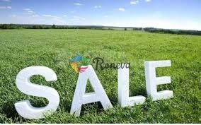 Парцел в с. Езерово, Област Варна - 600 кв.м за 28 €/кв.м - Снимка #1