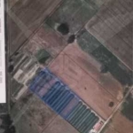 Парцел в с. Ягодово, Област Пловдив - 4500 кв.м за 40 €/кв.м - Снимка #1